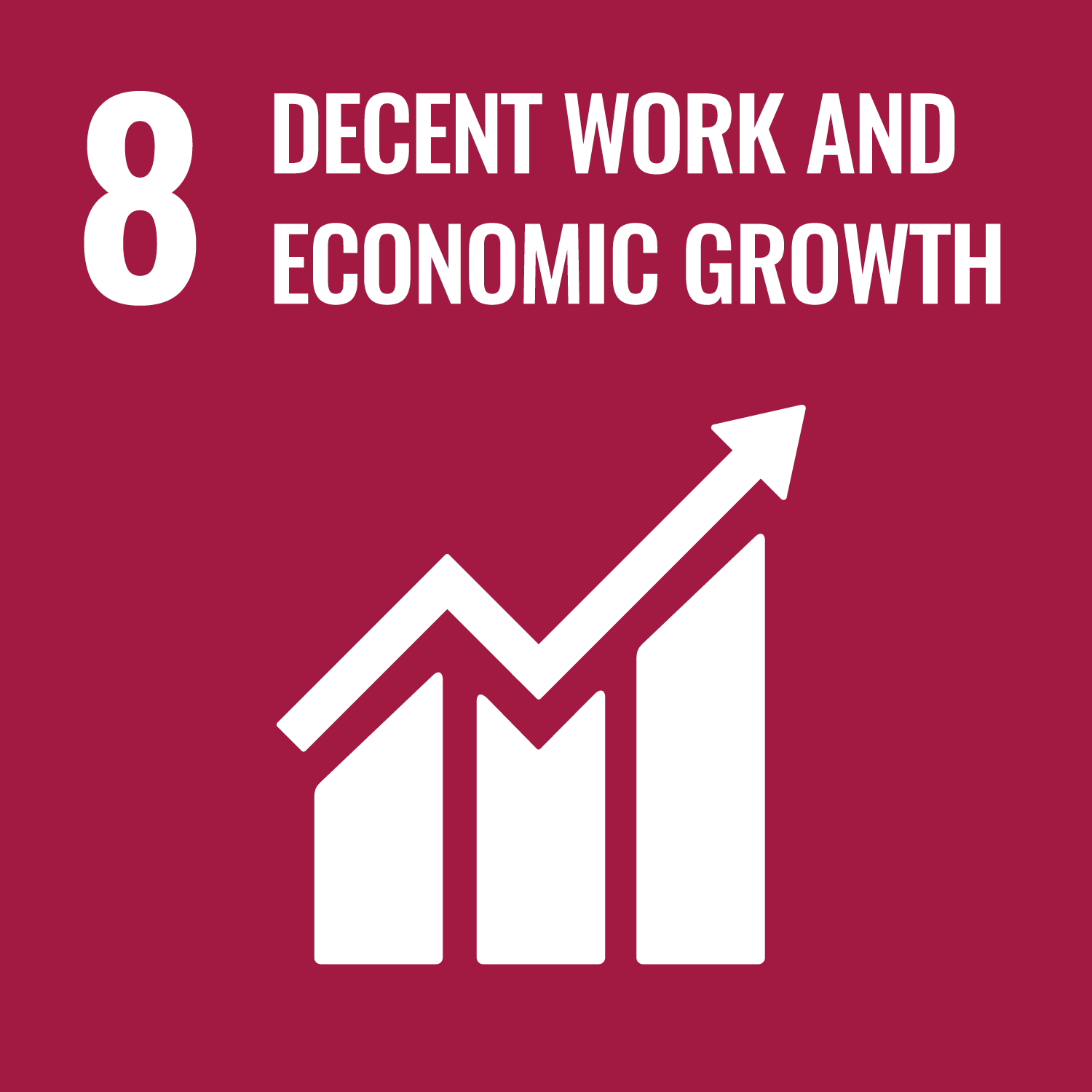 Read more about the article Goal 8: Decent Work and Economic Growth