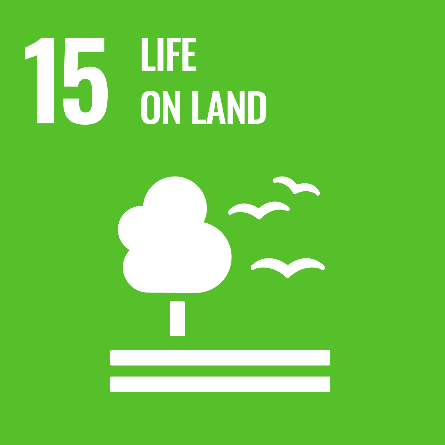 Read more about the article Goal 15: Life on Land