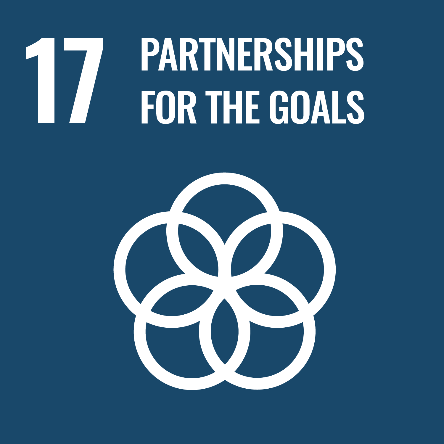 Read more about the article Goal 17: Partnerships for the Goals