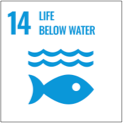 Goal 14. Conserve and sustainably use the oceans, seas and marine resources for sustainable development