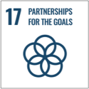 Goal 17. Strengthen the means of implementation and revitalize the global partnership for sustainable development