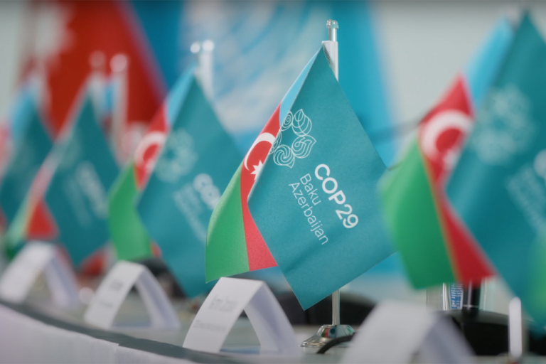 COP Conference of Parties, 29th session, UN Climate Change, Baku, Azerbaijan, 2024, Flags